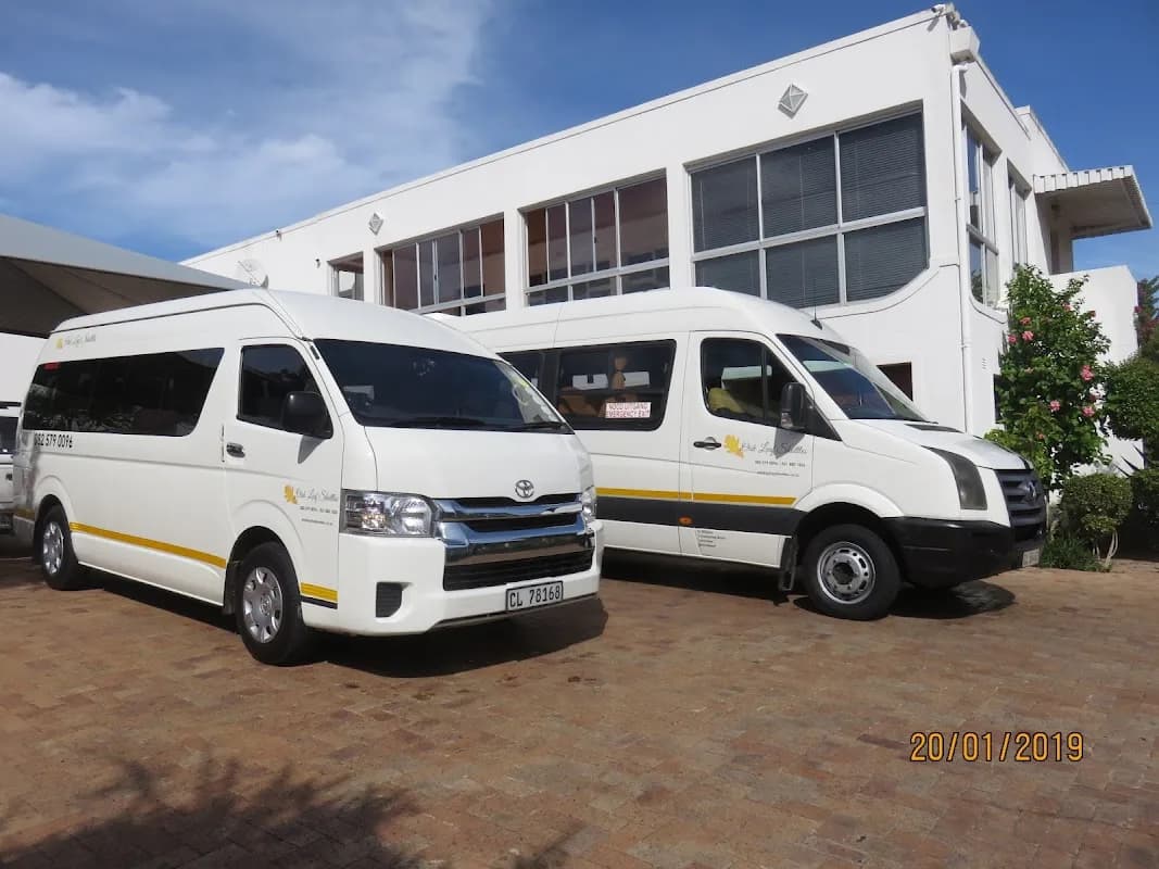Oak Leaf Shuttles in Kayamandi