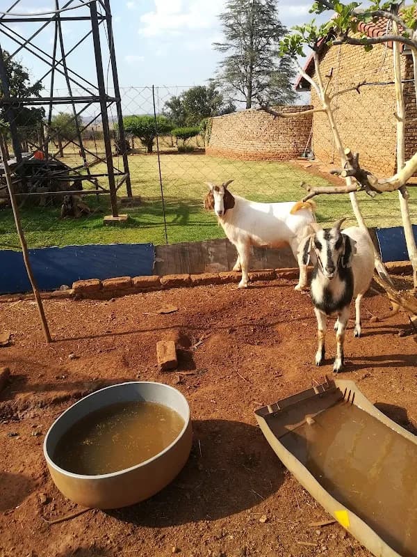 Umusa Farms in Krugersdorp CBD