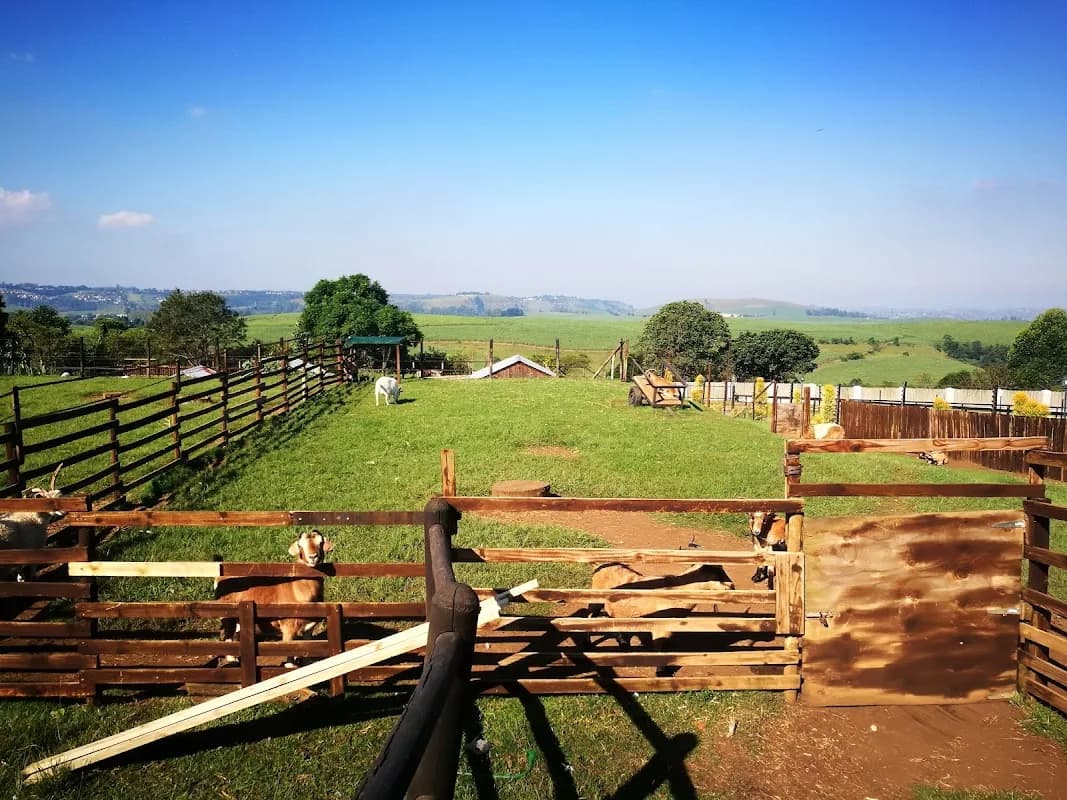 WINSOME VIEW ANIMAL FARM & COUNTRY BISTRO in Chatsworth