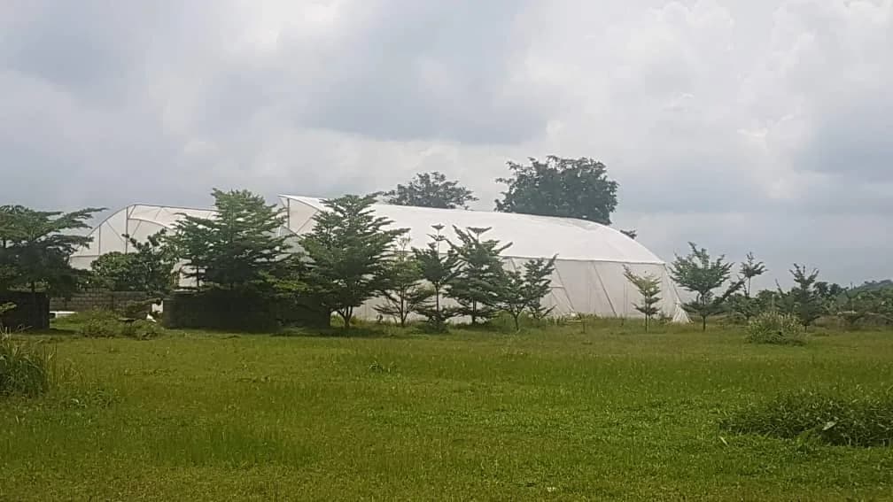 MIGS FARM AND RESORT LIMITED in Garki Area 11