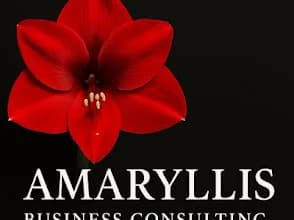 Amaryllis Business Consulting in Roodepoort