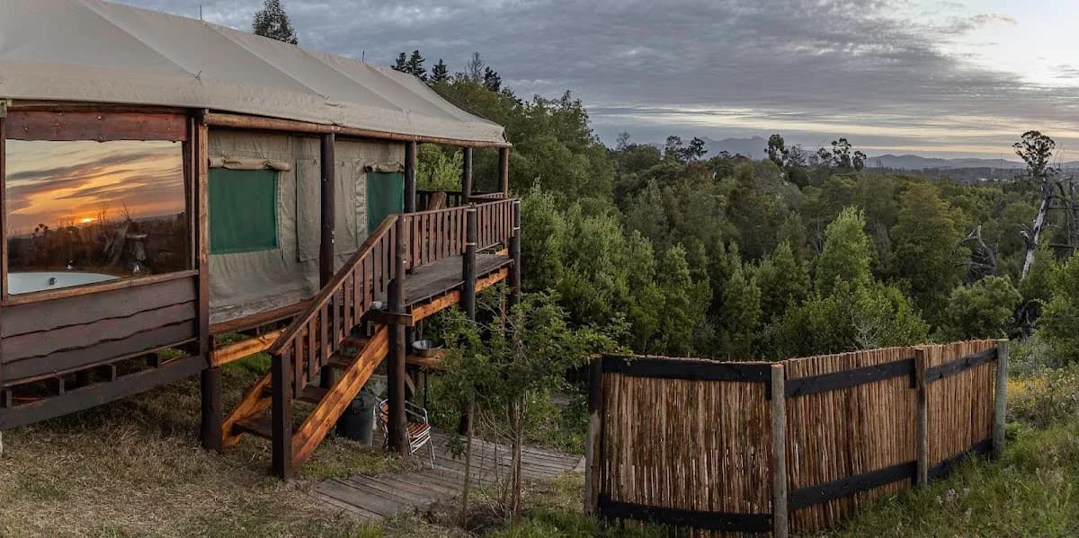 Fernhill Guest Farm & Tented Treehouses in Knysna CBD