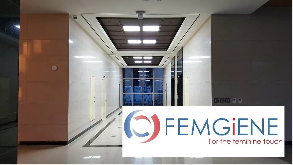 Femgiene Cleaning Services & Sanitization in Weltevreden Park