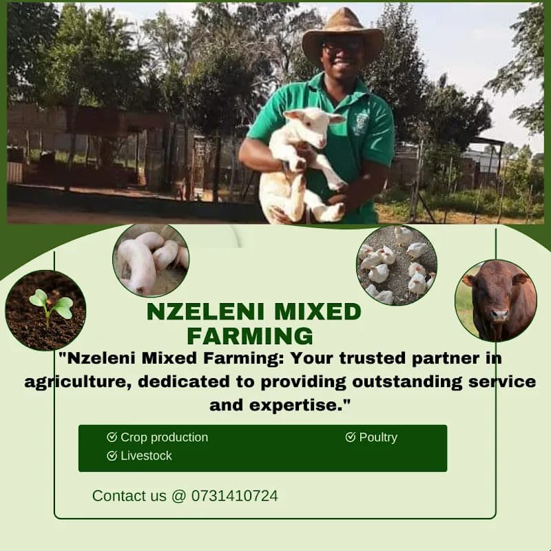 Nzeleni mixed farming in Flamwood