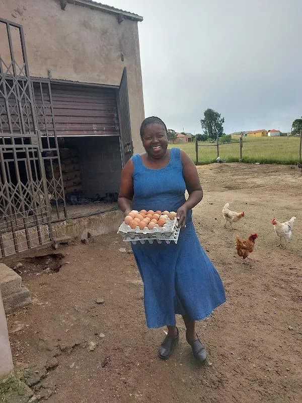 Sebz Poultry and Projects in Southernwood