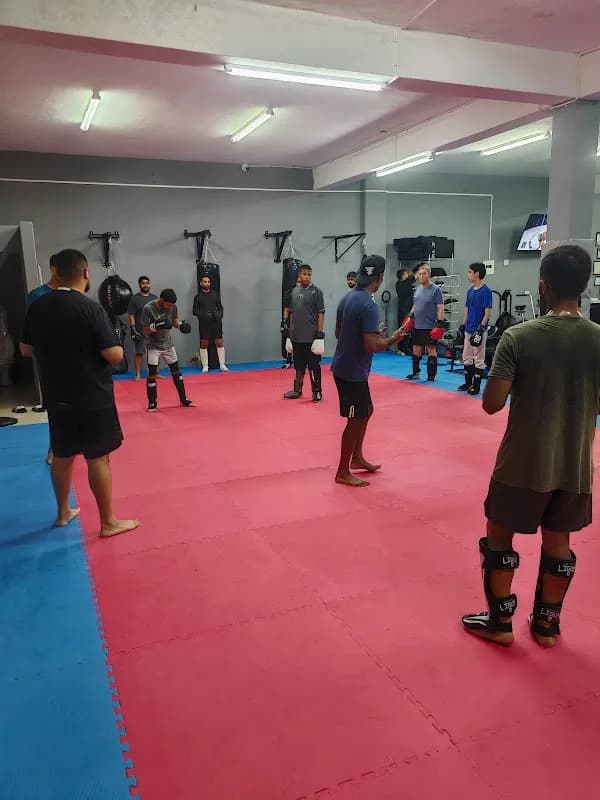 SHUBZ MMA in Northdale