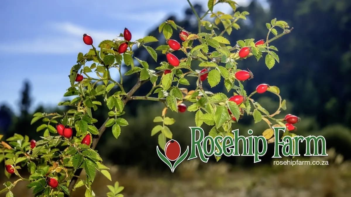 Rosehip Farm in Ruimsig