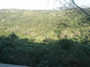 Naidu Consulting in Westville