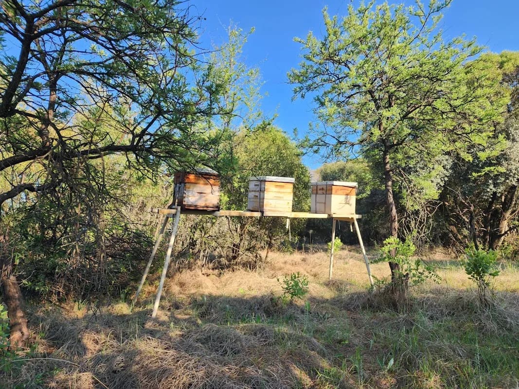 Farmer John's Honey in Centurion CBD