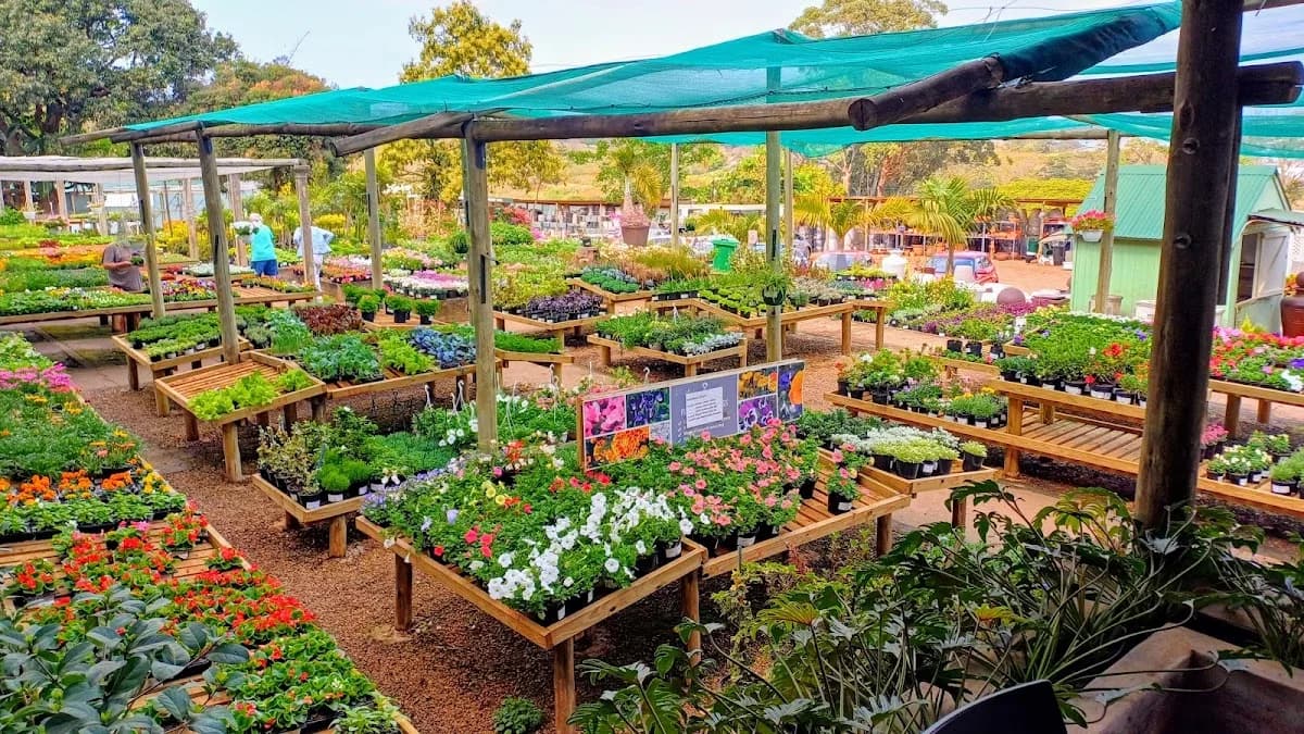 Hingham Nursery in Umhlanga CBD