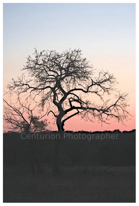 Photography and Print by GuyM (Rocket Signtist) in Centurion