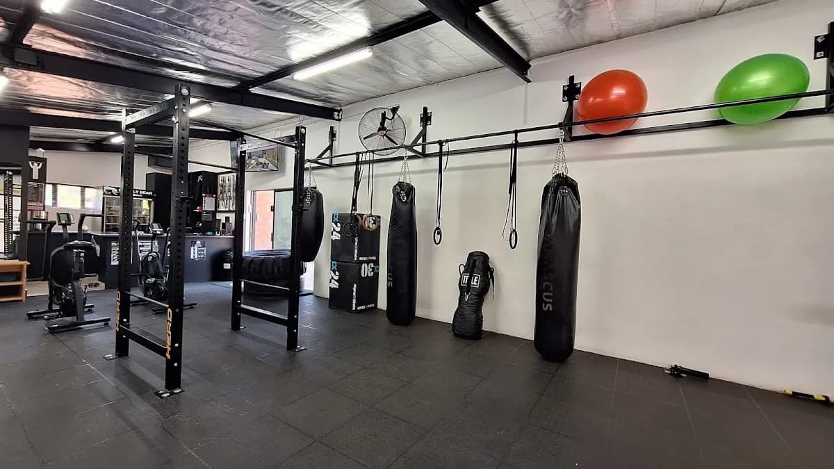 Grizzly Bear Mixed Martial Arts Academy in Langenhoven Park