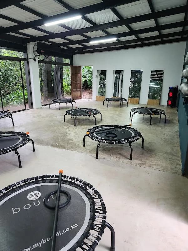 Bounce-well Rebounding Studio in New Germany
