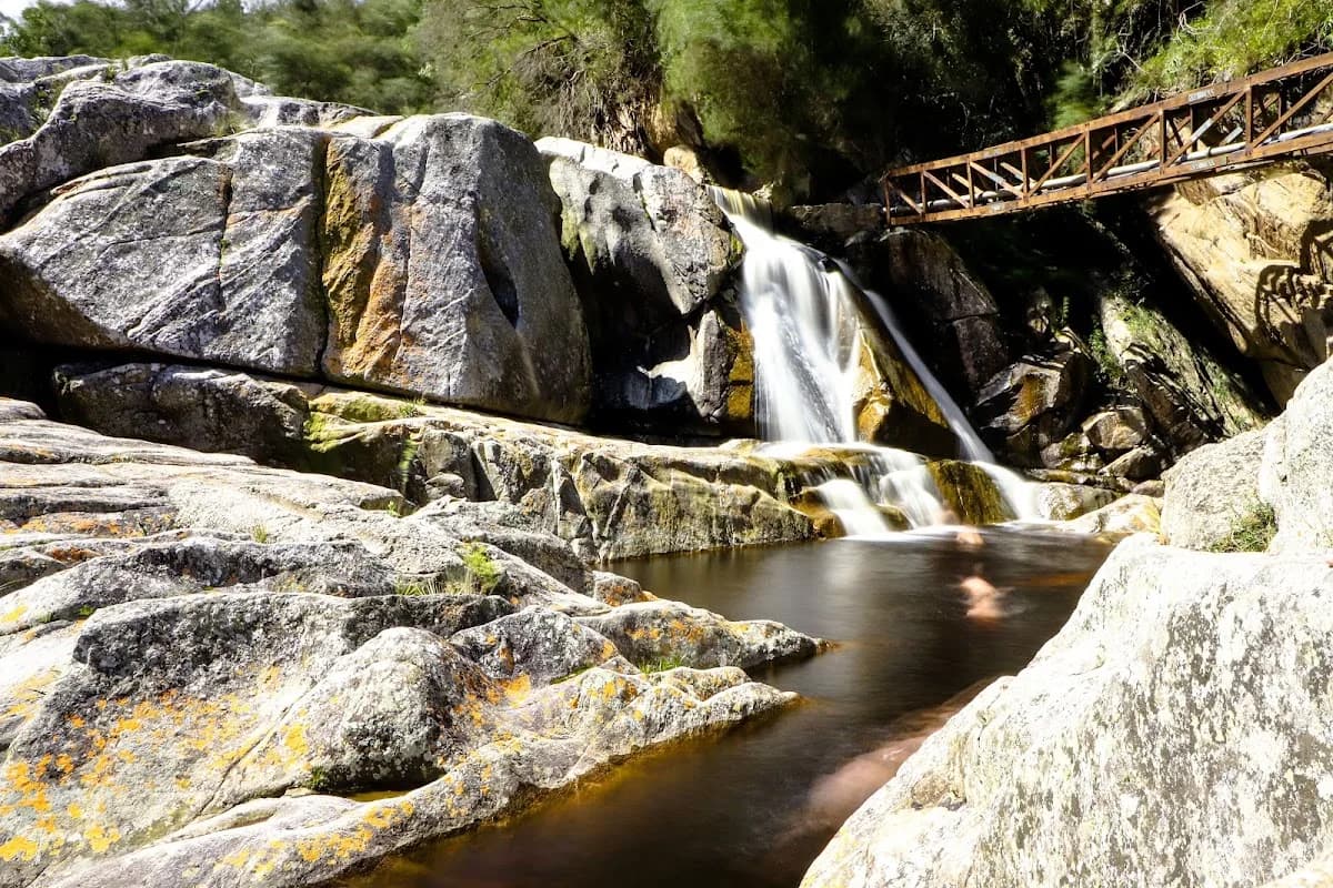 Half Collared Kingfisher Trail Waterfall in Wilderness