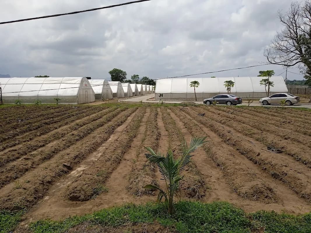 Golden Finger Farms & Ranches LTD Abuja. in Asokoro