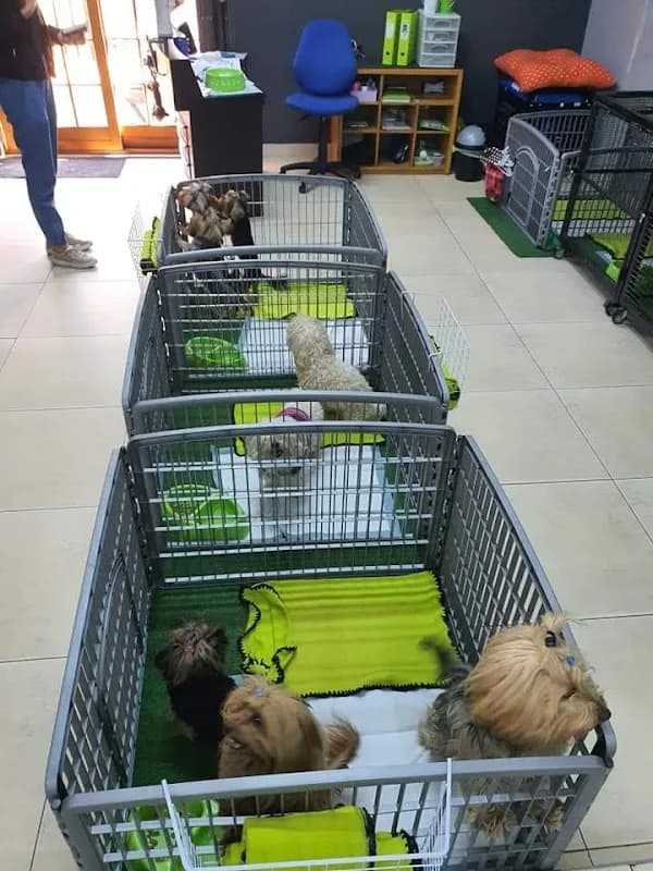 Dip & Knip Doggy Parlour in Rustenburg CBD