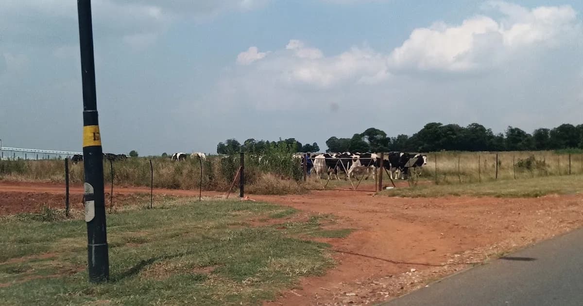 Riverfields Melkery in Kempton Park