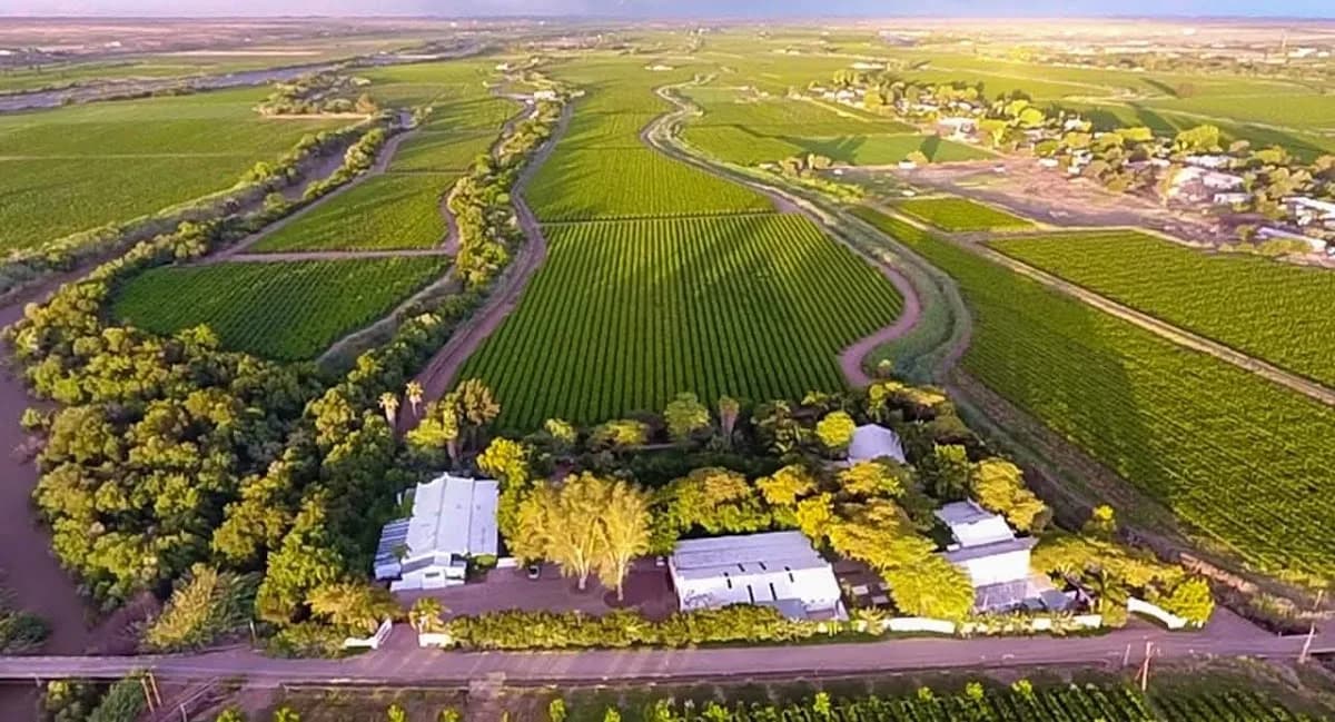 African Vineyard Boutique Hotel & Spa in Industrial Area