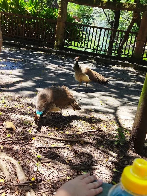 Queens Park Zoo & Gardens in East London CBD
