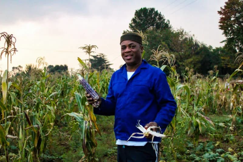 Uncle Wiz Farm in Alexandra