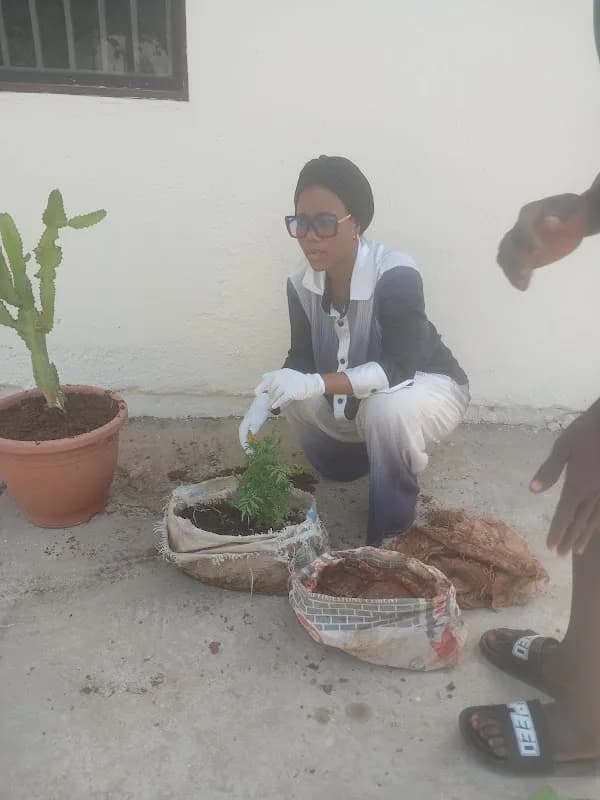 VH cleaning and fumigation service in Garki Area 1