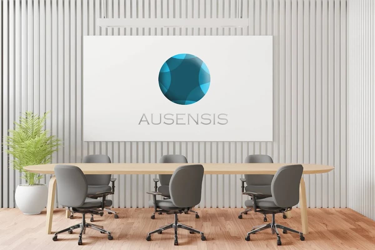 AUSENSIS in Irene
