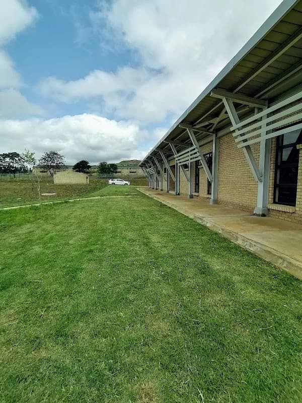 Super Turf Instant Lawn & Landscaping in Empangeni CBD