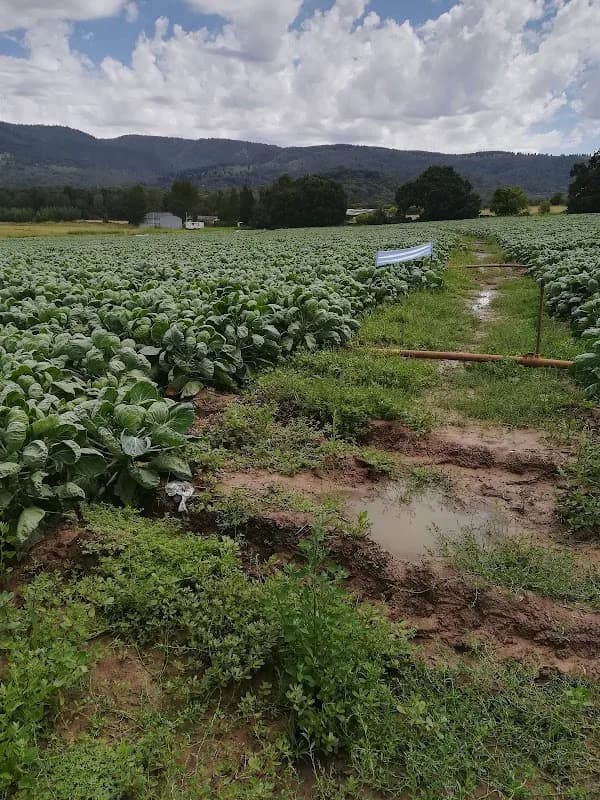 Leppan Farming (Pty) Ltd in Heatherlands