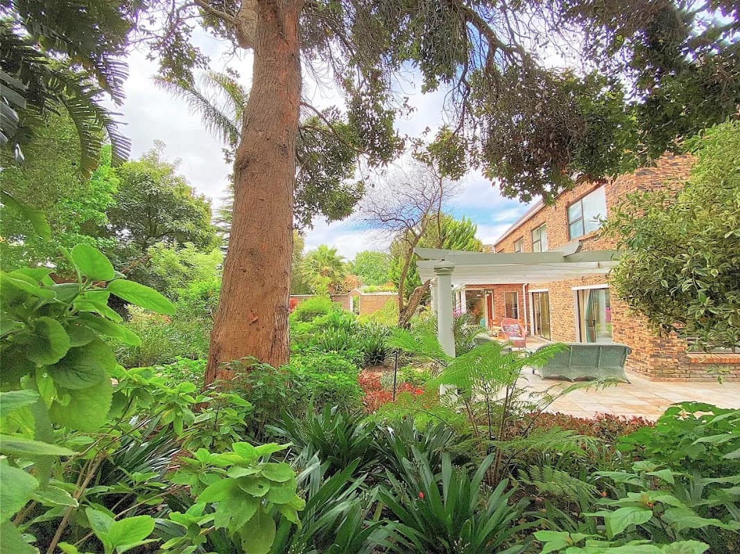 Dressage Close - Bed & Breakfast in Tokai