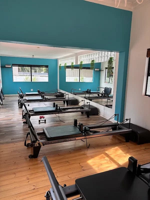Polestar Pilates SA in Parktown