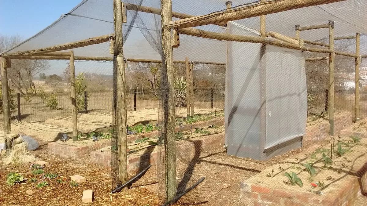 Food ESC (Pty)Ltd in Norwood