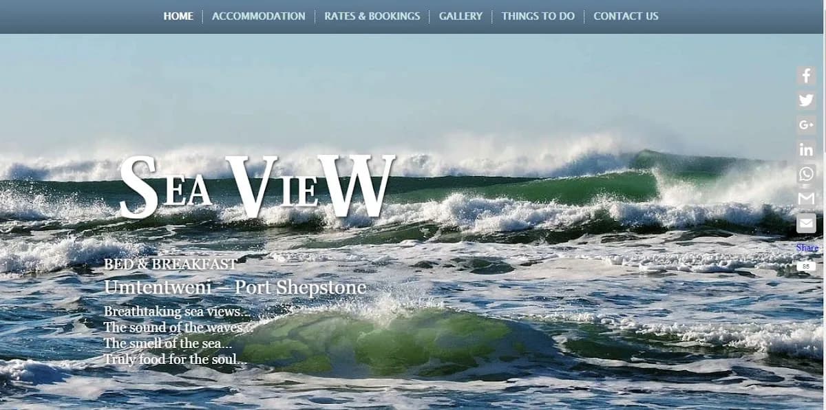 SA Website Designer in Arcadia