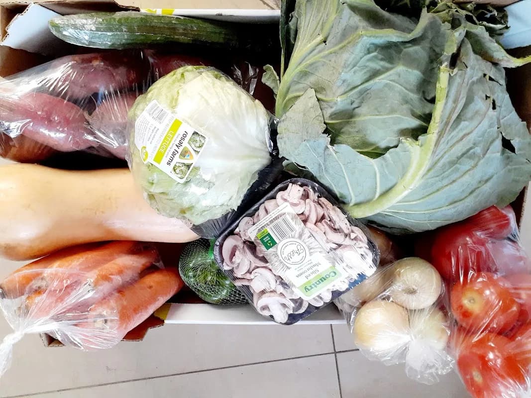 Easy Fruits & Veggies On The Go in Orlando