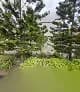 Panic Alert Security Services (Pass) in Mpape