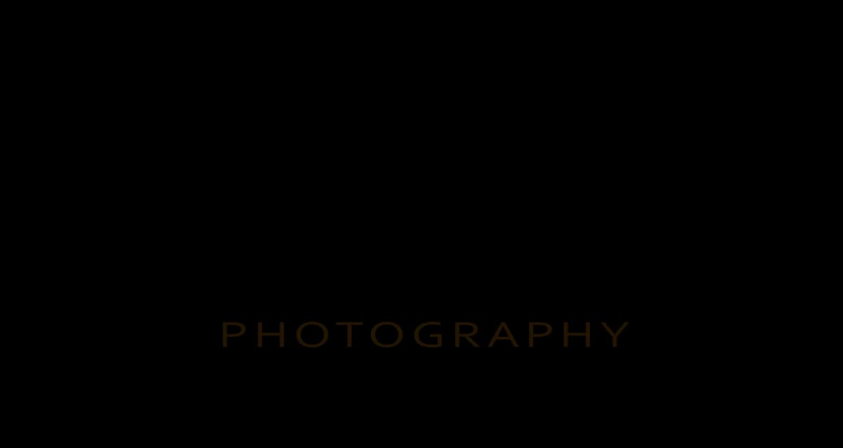 Given Zulu Photography in Evander