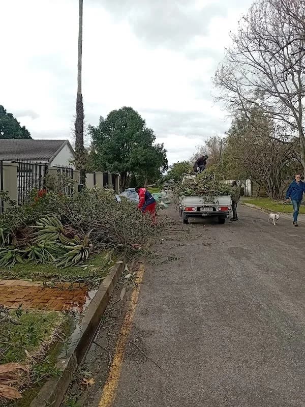 Nature's BS Gardening Services in George South