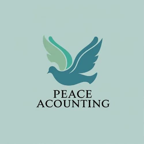 Peace Accounting Pty Ltd in Mangaung