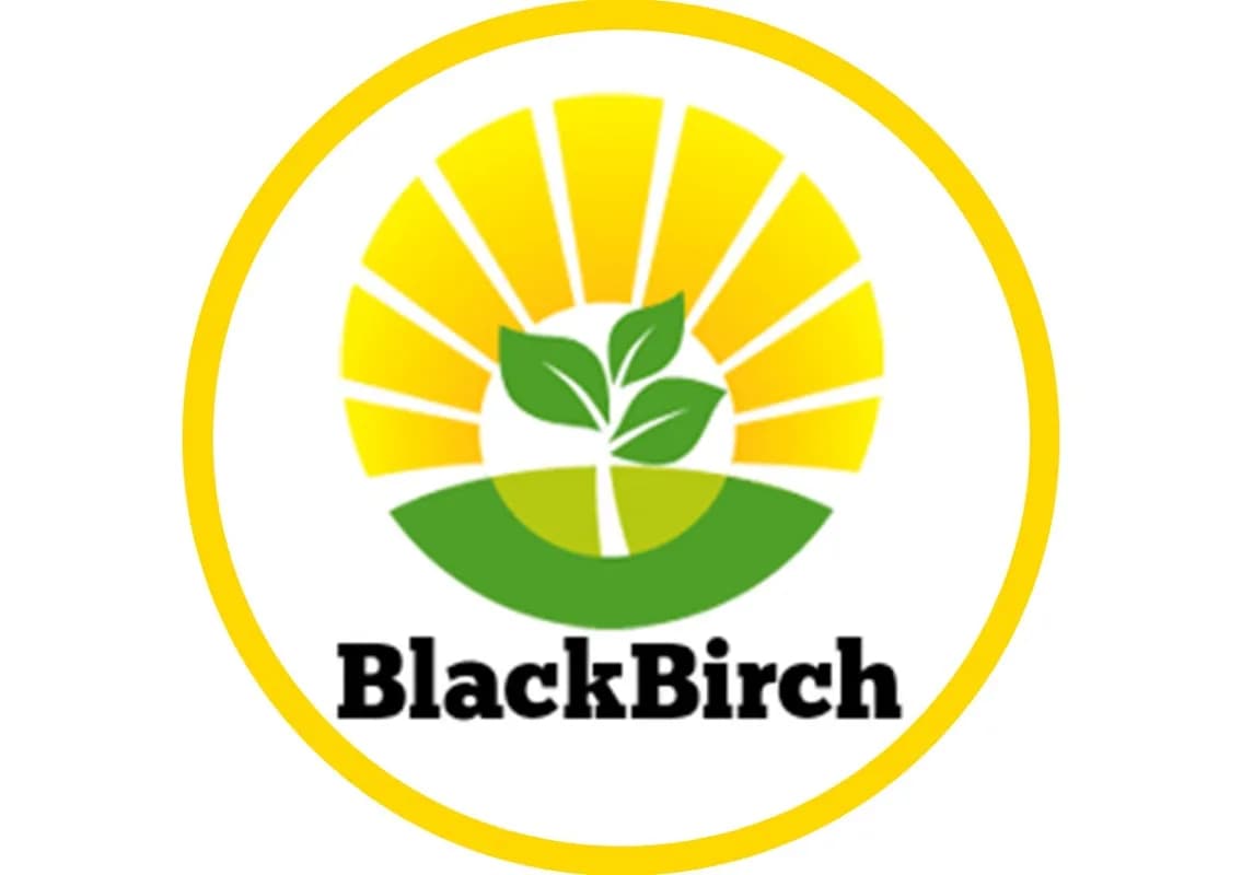 Black Birch Cleaning Services in Midrand