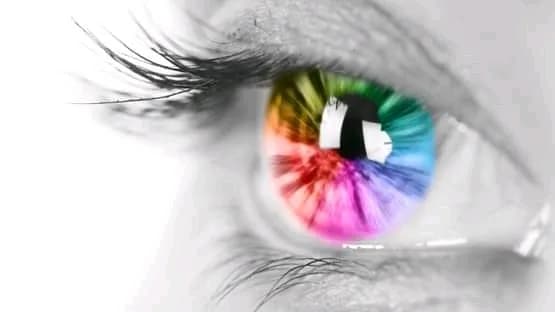 New Road Optometrist, Midrand in Midrand