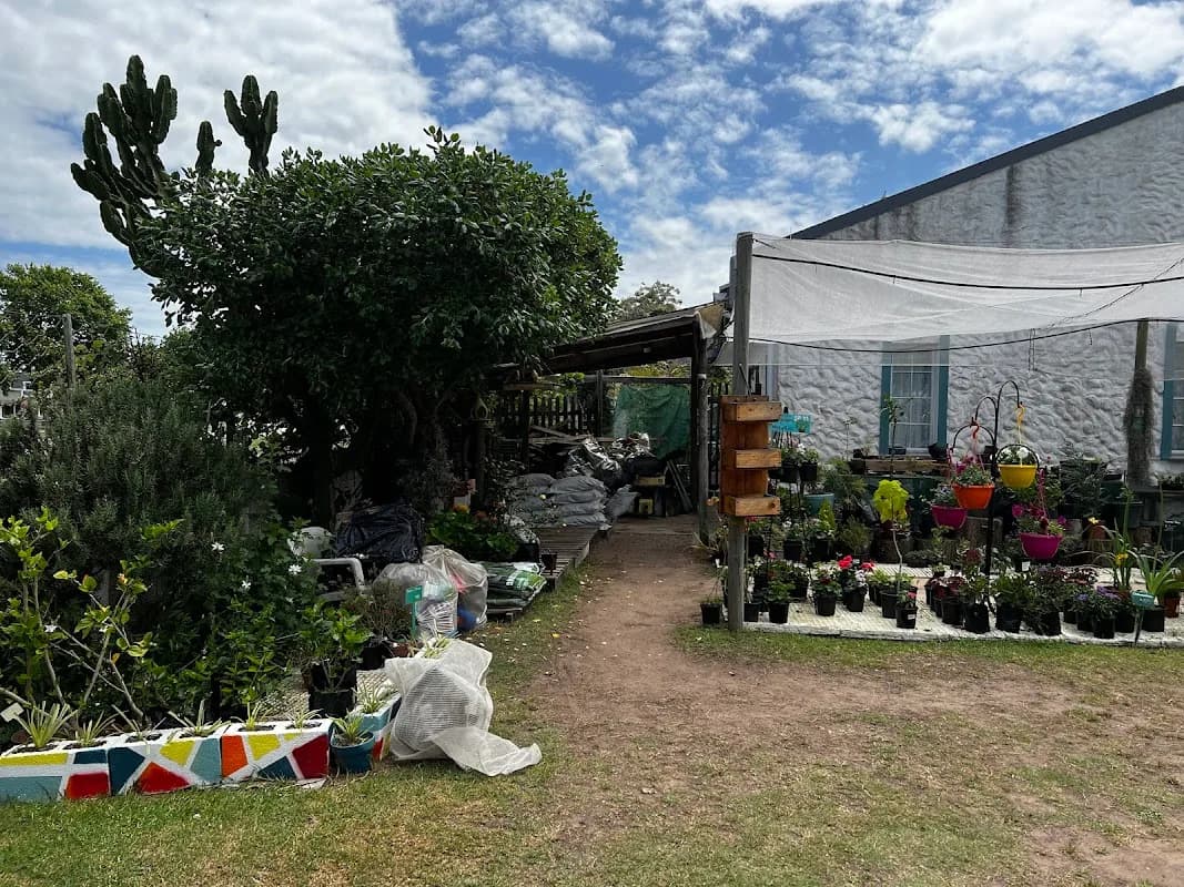 Herbs & Plants in Sedgefield