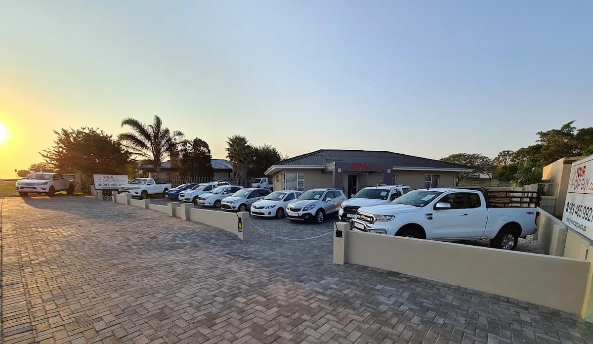 Your Car Guy in Newton Park
