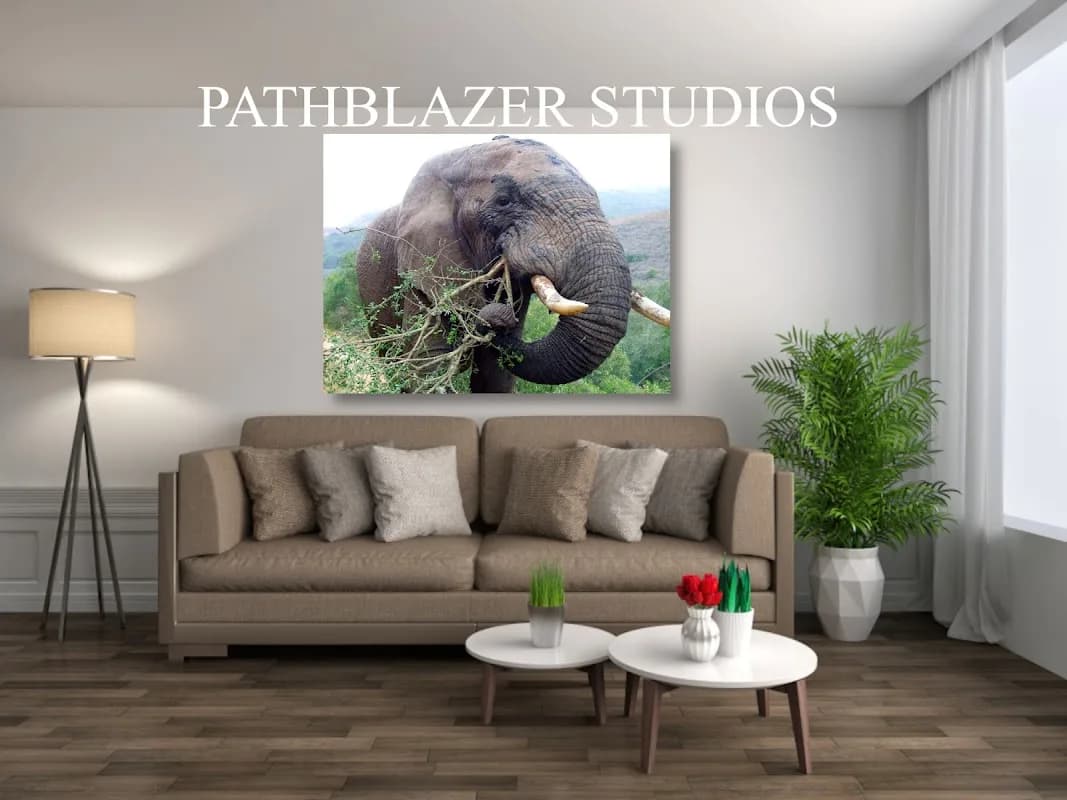 Pathblazer Studios in Weltevreden Park