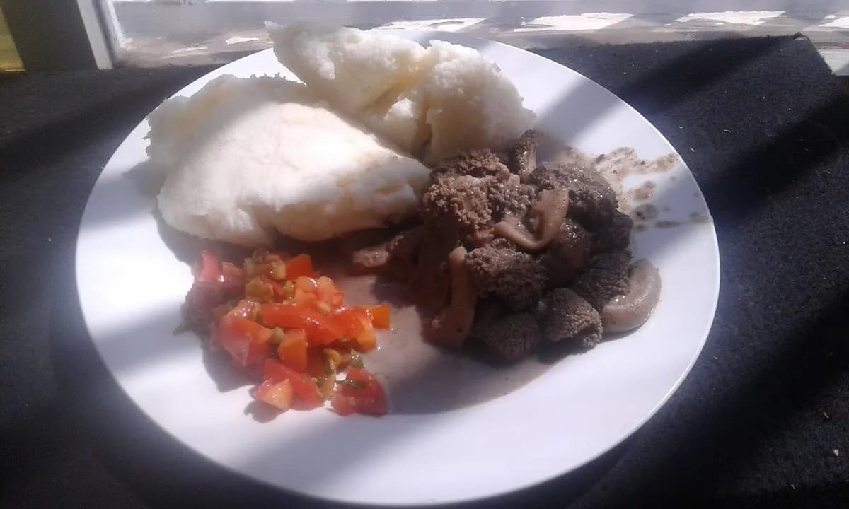 Mamolewa Event Production in The Moot