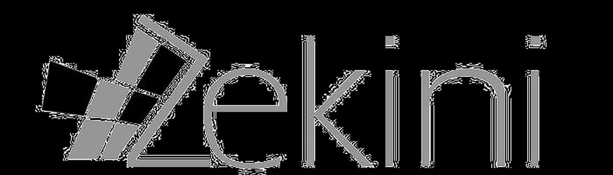 Zekini Software Development in West Rand