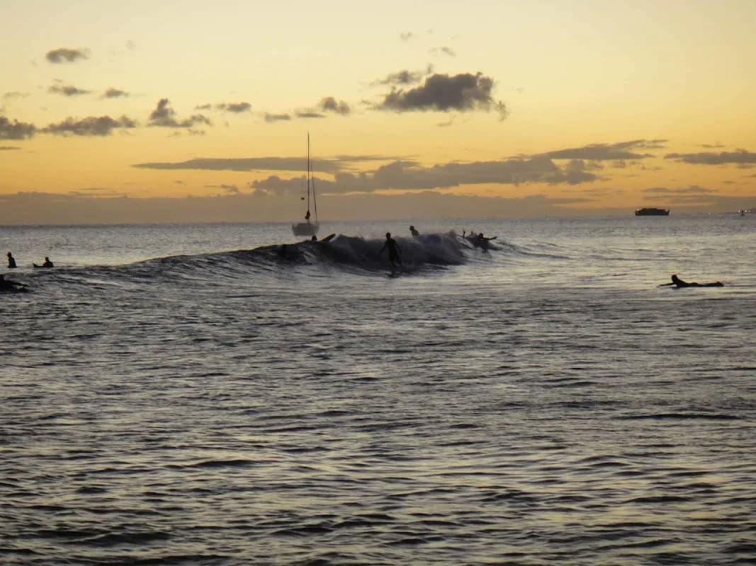 Surefly Studio in Kailua / Kaneohe