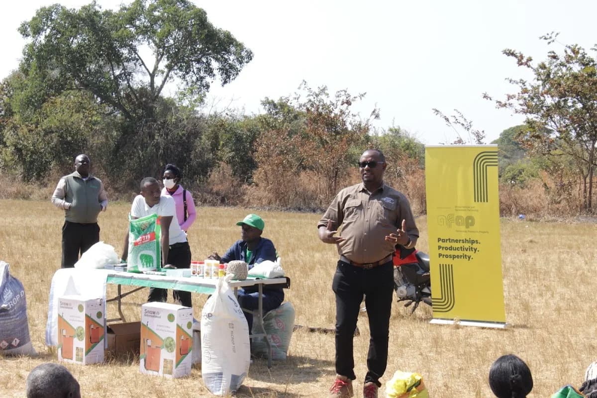 African Fertilizer and Agribusiness Partnership (AFAP) in Randburg