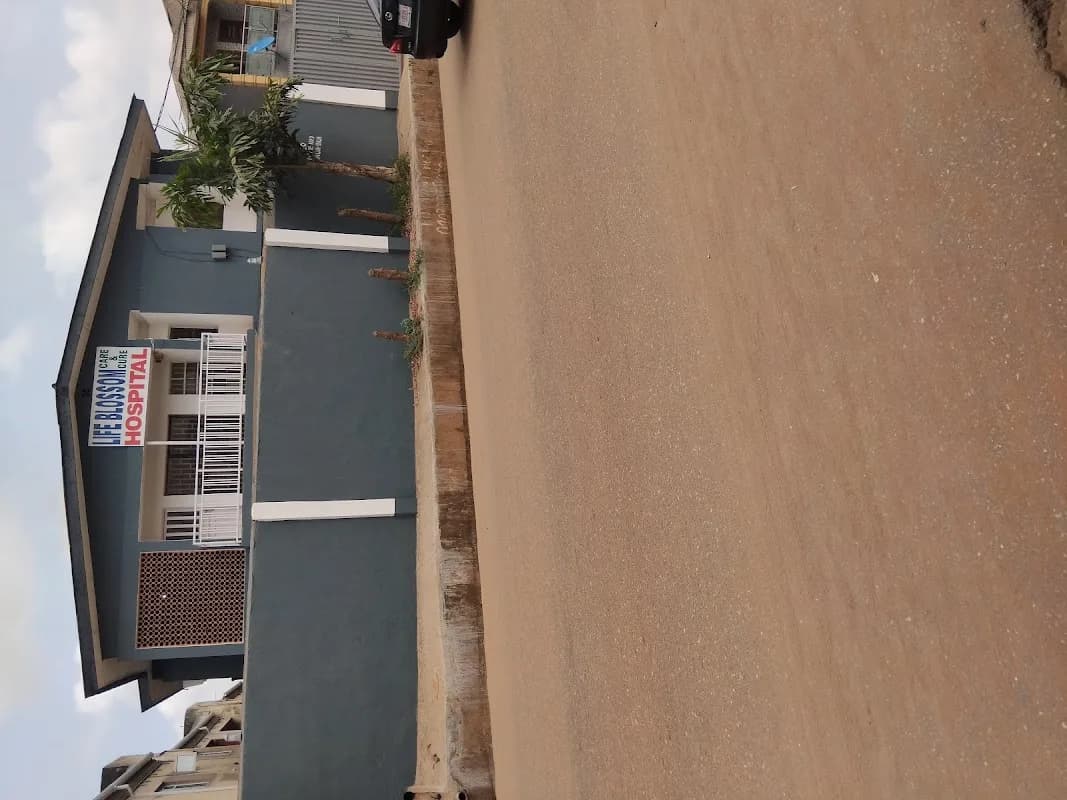 Life Blossom Care and Cure Hospital in Ayobo
