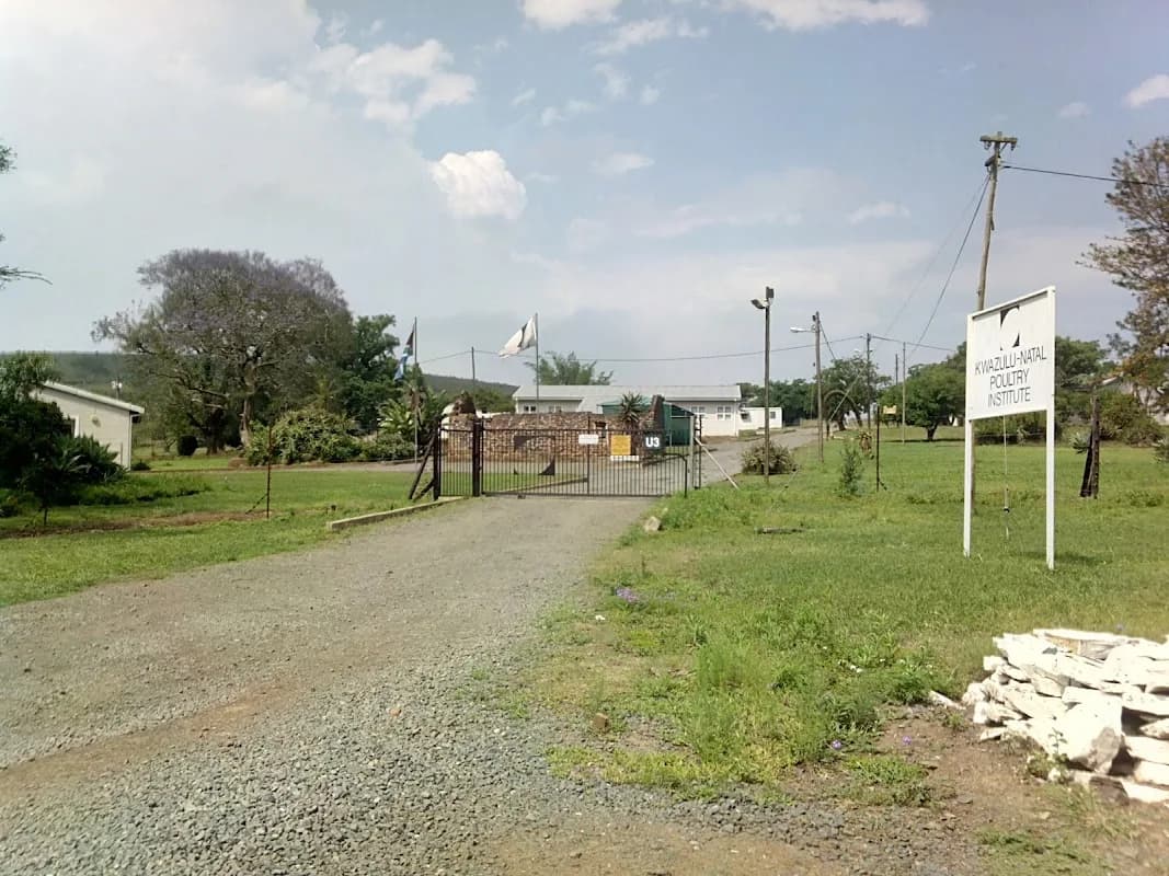 KWAZULU NATAL POULTRY INSTITUTE in Pietermaritzburg CBD