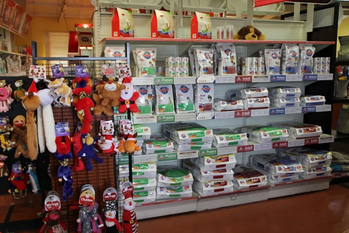 Pet Savers in Somerset West CBD
