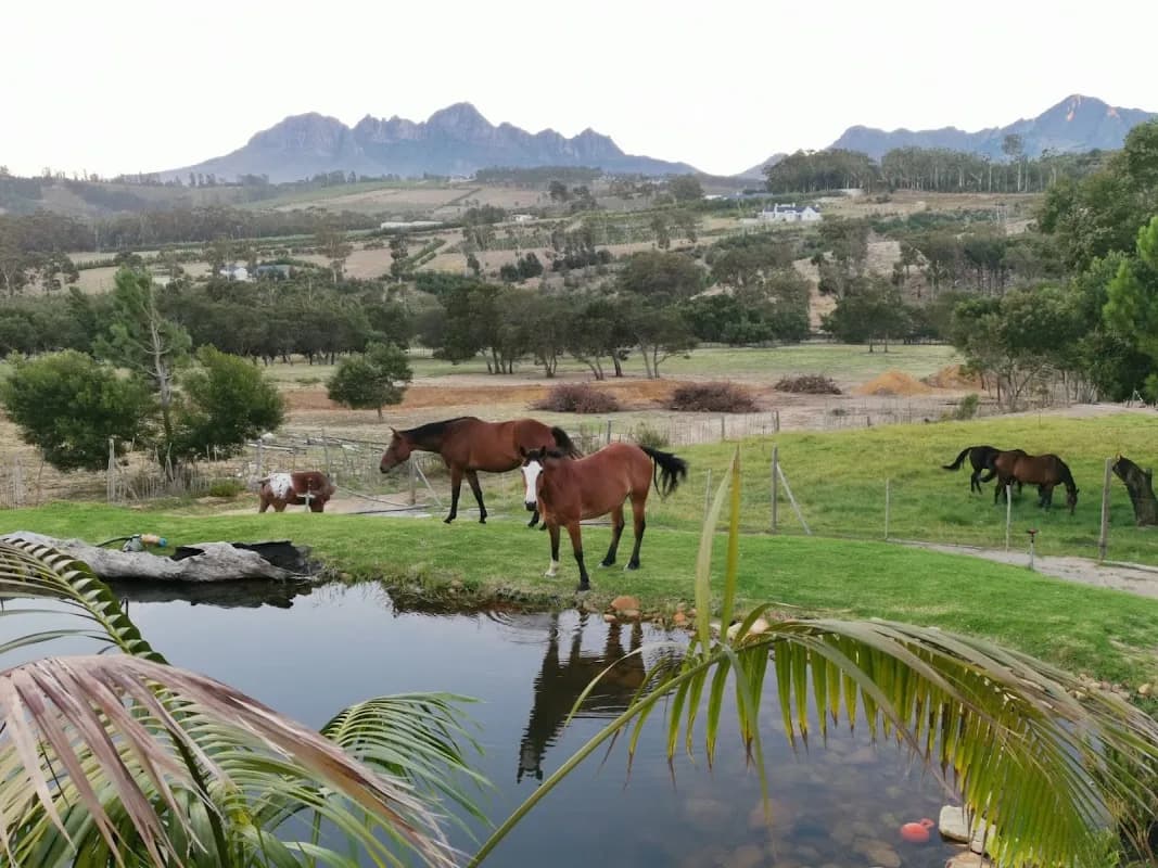 Cottage Stream Farm in Gordon's Bay